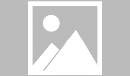 犀牛漫画,幽默与智慧并存的视觉盛宴