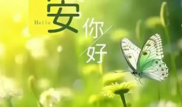 早安视频,开启美好一天的心灵之旅